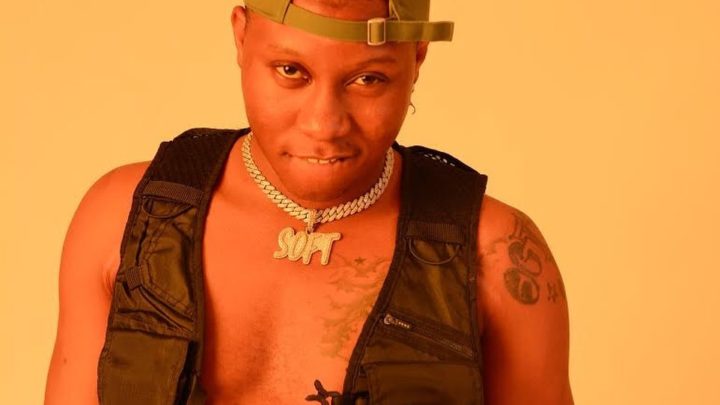 Soft (Musician) Biography: State Of Origin, Age, Instagram, Girlfriend, Facts, Real Name, Songs, Net Worth, Wikipedia, Photos