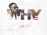 Drey why artwork