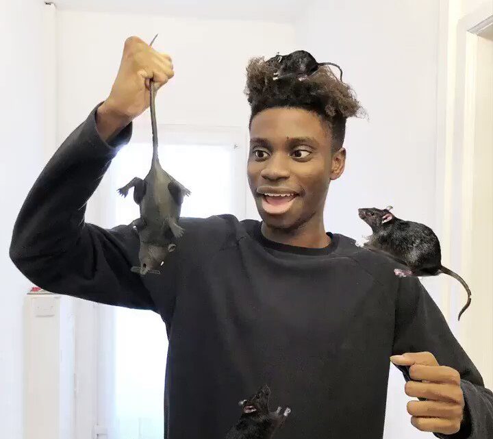 Nnamdi Anunobi Biography [Instagram, Age, Net Worth, Wikipedia, Mother, Father, Videos, Girlfriend & More]
