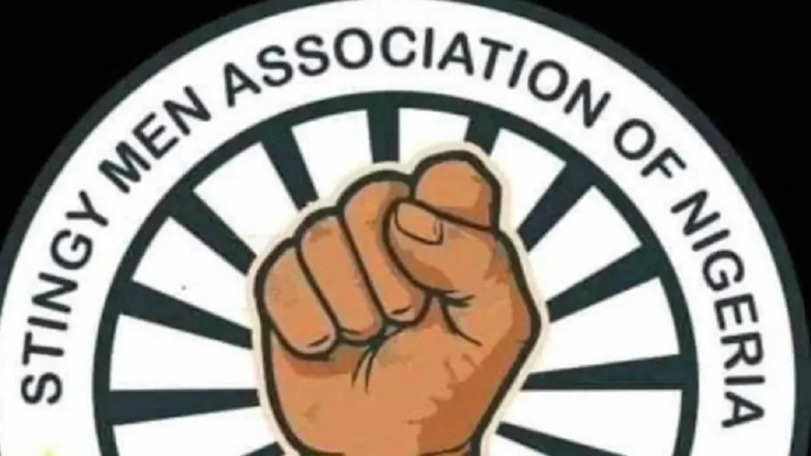 Stingy Men Association Of Nigeria; The Bitter Irony Of SWAN Stingy Men Association Of Nigeria; The Bitter Irony Of SWAN