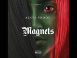 Alaye Proof - Magnets