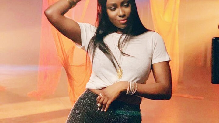Tolani Otedola Biography: Age, Net Worth, Mother, Wiki, Pictures, Boyfriend, Date Of Birth, Songs, Instagram
