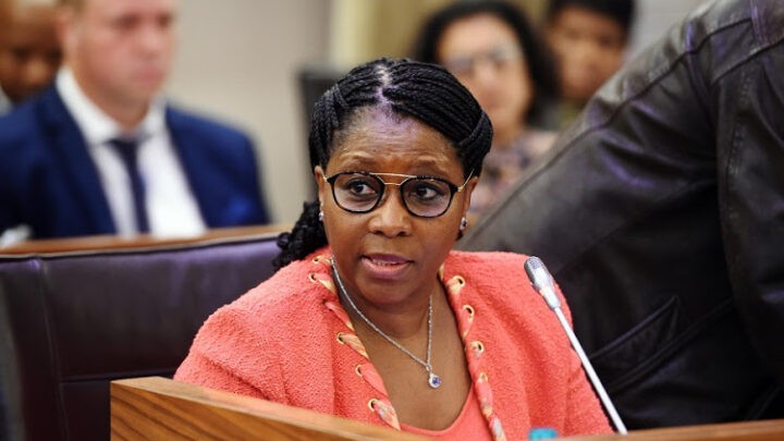 Ayanda Dlodlo Biography: Contact Details, Age, Net Worth, Daughter, Husband, Profile, Cars, Qualifications