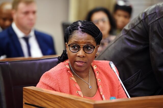 Ayanda Dlodlo Biography: Contact Details, Age, Net Worth, Daughter, Husband, Profile, Cars, Qualifications