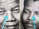 Who is Gibson Makanda, Biography, Age, Nelson Mandela Conspiracy Theory, Net Worth, Photos, Wikipedia