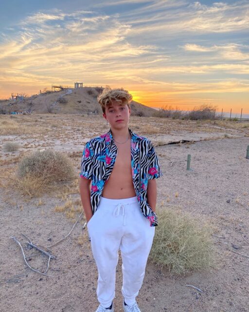 Gavin Magnus Bio, Age, Net Worth, Birthday, Phone Number, TikTok, Twitter, Pictures, Instagram, Songs, Girlfriend, Height