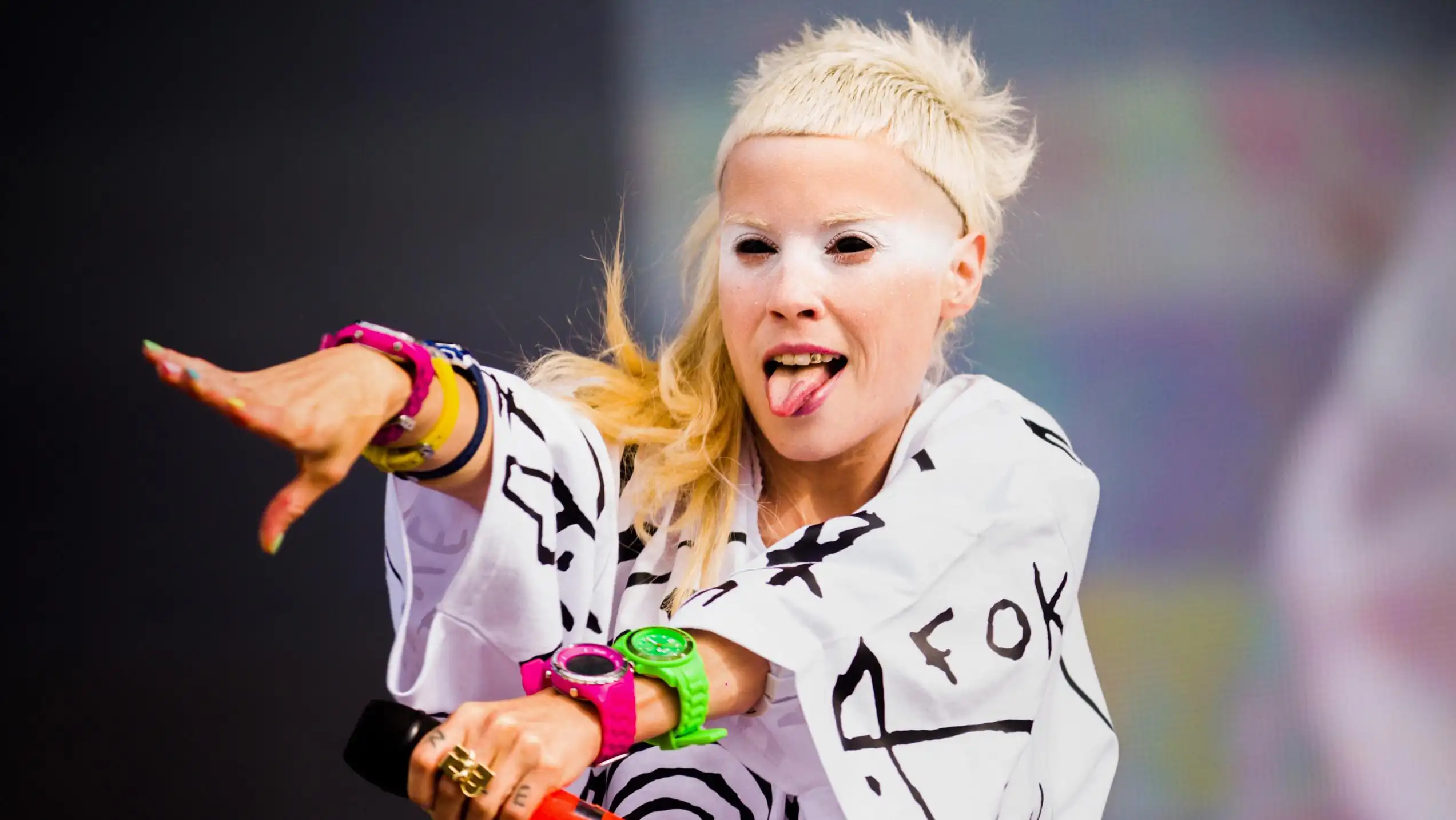 Die Antwoord
