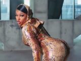 Megan Thee Stallion Biography, Age, Songs, Net Worth, Husband, Wikipedia, Boyfriend, Instagram, Height, Real Name