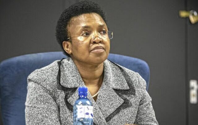 Phindile Baleni Biography: Age, Husband, Net Worth, Wikipedia, Education, Contact Details, Linkedin