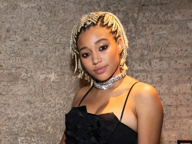 Amandla Stenberg Bio, Movies, Age, Parents, Net Worth, Partner, Ethnic, Mother, TV Shows, Siblings, Wiki