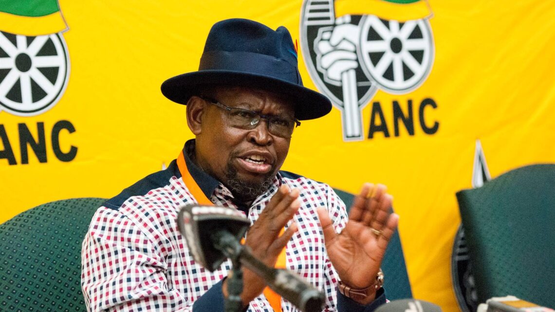 Enoch Godongwana Biography: Wife, Age, Wikipedia, Net Worth, Qualifications, Contact Details, Place of Birth, Linkedin Enoch Godongwana Biography: Wife, Age, Wikipedia, Net Worth, Qualifications, Contact Details, Place of Birth, Linkedin