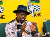 Enoch Godongwana Bio, Wife, Age, Wikipedia, Net Worth, Qualifications, Contact Details, Place of Birth, Linkedin