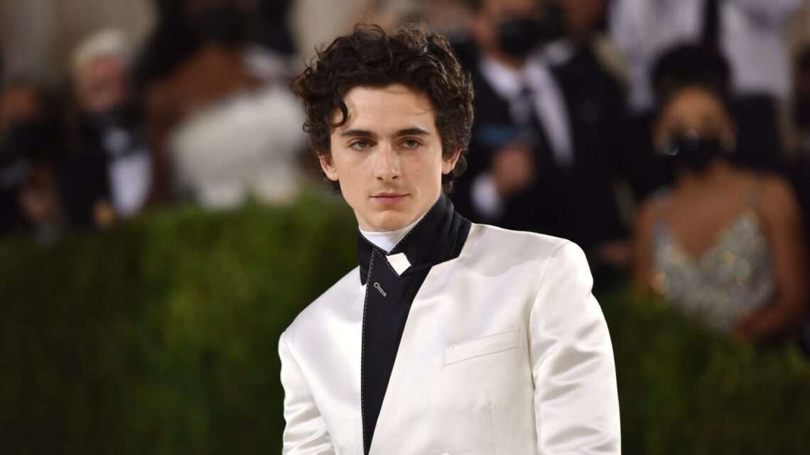 Timothée Chalamet Biography: Movies, Net Worth, Awards, Age, Sister, Height, Girlfriend, Instagram, Wikipedia Timothée Chalamet Biography: Movies, Net Worth, Awards, Age, Sister, Height, Girlfriend, Instagram, Wikipedia