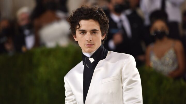Timothée Chalamet Biography: Movies, Net Worth, Awards, Age, Sister, Height, Girlfriend, Instagram, Wikipedia, Parents