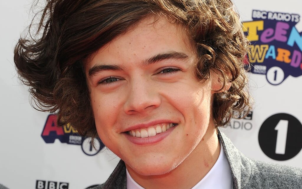 Harry Styles Biography: Daughter, Songs, Net Worth, Age, Wikipedia, Album, Girlfriend, Tour, Movies, Height, Siblings Harry Styles Biography: Daughter, Songs, Net Worth, Age, Wikipedia, Album, Girlfriend, Tour, Movies, Height, Siblings