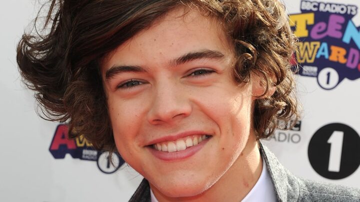 Harry Styles Biography: Daughter, Songs, Net Worth, Age, Wikipedia, Album, Girlfriend, Tour, Movies, Height, Siblings