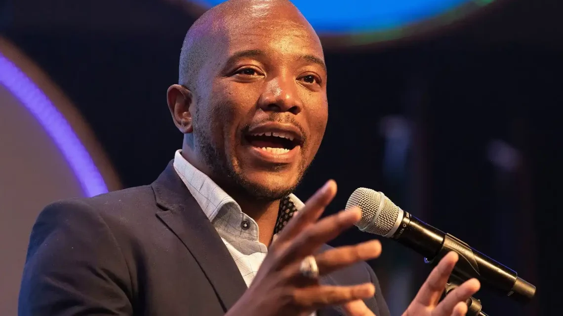 Mmusi Maimane Biography: Wife, House, Education, Net Worth, Party Members, Age, Wikipedia, Twitter, Children, Contact Details Mmusi Maimane Biography: Wife, House, Education, Net Worth, Party Members, Age, Wikipedia, Twitter, Children, Contact Details