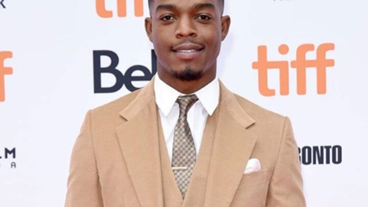 Stephan James Biography: Movies, Height, Brother, Wife, Age, Wikipedia, Instagram, Parents, Girlfriend, TV Shows