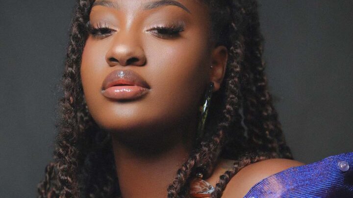 Tems Bio: Boyfriend, Age, Net Worth, Wikipedia, Songs, Hips, Instagram, Albums, Record Label, Music, Husband, Siblings