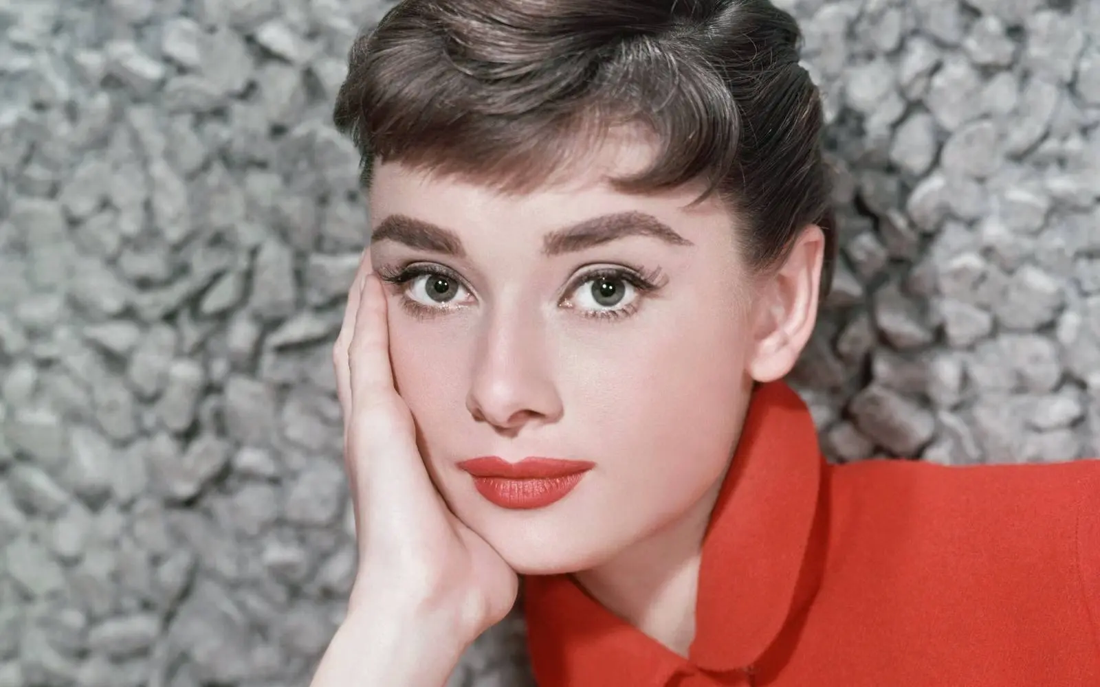 Audrey Hepburn Photo