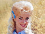Hee Haw Gunilla Hutton Biography, Net Worth, Husband, Age, IMDb, Image, Wikipedia, Height, Children, Still Alive