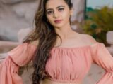 Helly Shah Biography, Husband, TV Shows, Net Worth, Movies, Age, Instagram, Awards, Cast, Relationship, Family, Photos, Wikipedia, Boyfriend