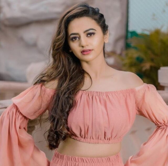 Helly Shah Biography, Husband, TV Shows, Net Worth, Movies, Age, Instagram, Awards, Cast, Relationship, Family, Photos, Wikipedia, Boyfriend
