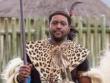 Misuzulu Zulu Biography, Net Worth, First & Second Wife, Age, Education, Wedding Photos, Latest News, Speech, Instagram, Brothers, Wikipedia