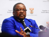 Nkosinathi Nathi Nhleko Bio, Wife, Education, Age, Qualifications, Profile, Current Job, Wikipedia, Photos