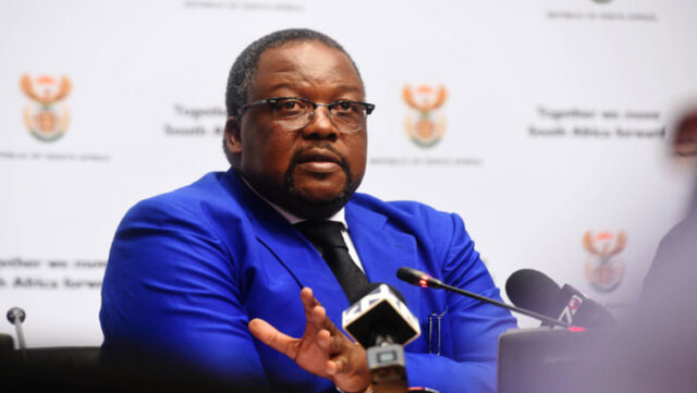 Nkosinathi Nathi Nhleko Bio, Wife, Education, Age, Qualifications, Profile, Current Job, Wikipedia, Photos