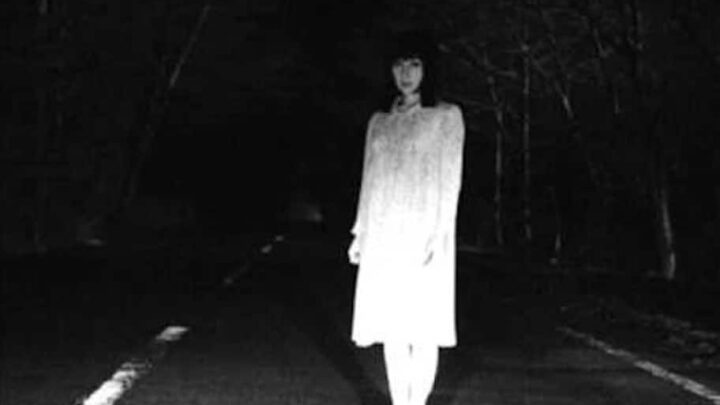 The Real Story Of Teresa Fidalgo: Biography, Age, TikTok, Wikipedia, Instagram, Phone Number, Audio, 1983 Car Accident, Pictures, History in Hindi