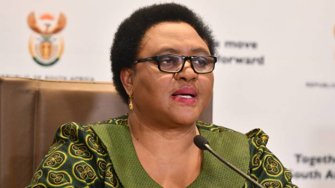 Thoko Didiza Biography: Net Worth, Husband, Age, Contact Details, Parents, Educational Qualifications, Profile, Pictures, House, Wikipedia, Son, Family Thoko Didiza Biography: Net Worth, Husband, Age, Contact Details, Parents, Educational Qualifications, Profile, Pictures, House, Wikipedia, Son, Family