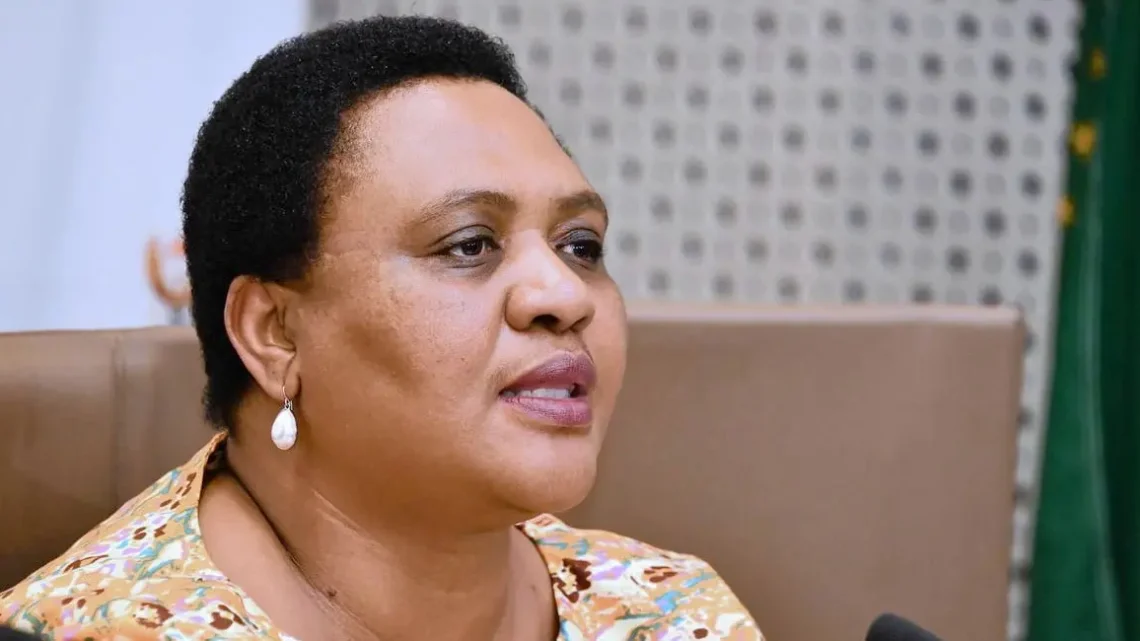 Thoko Didiza Biography: Net Worth, Husband, Age, Contact Details, Parents, Educational Qualifications, Profile, Pictures, House, Wikipedia, Son, Family