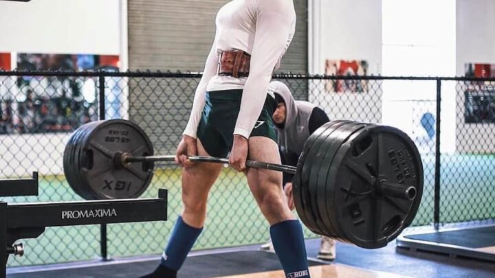 David Laid Biography: Girlfriend, Age, Car, Net Worth, Physique, Weight, Wikipedia, Transformation, Workout, Photos