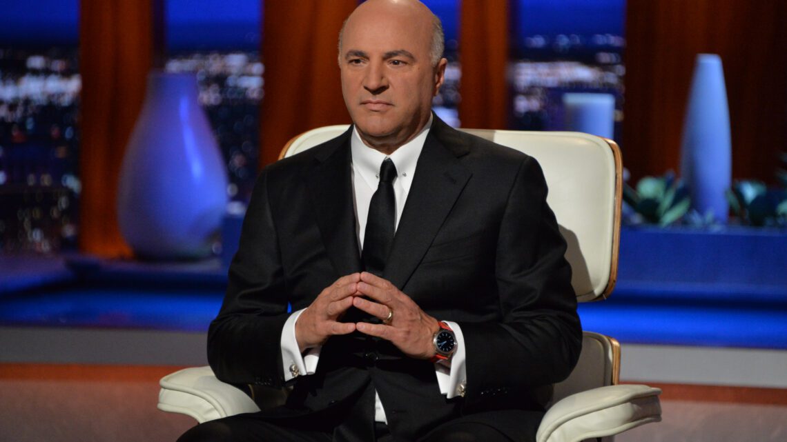 Kevin O’Leary Biography: Net Worth, Crypto, Wife, Age, Quotes, Children, Company, Wine, Bitcoin, House, Boat, Wikipedia, Instagram Kevin O’Leary Biography: Net Worth, Crypto, Wife, Age, Quotes, Children, Company, Wine, Bitcoin, House, Boat, Wikipedia, Instagram