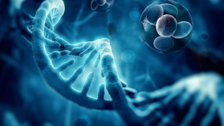 How Can Regenerative Medicine Help Deal With Joint Pain?