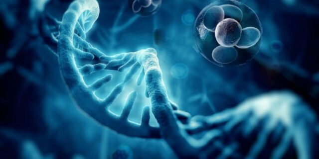 How Can Regenerative Medicine Help Deal With Joint Pain? How Can Regenerative Medicine Help Deal With Joint Pain?