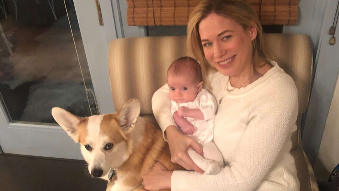 Elise Jordan Biography: Age, Adoption, Baby, Net Worth, Husband, Height, Hastings, Instagram, Wikipedia, Parents, MSNBC, Twitter Elise Jordan Biography: Age, Adoption, Baby, Net Worth, Husband, Height, Hastings, Instagram, Wikipedia, Parents, MSNBC, Twitter