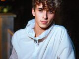 Josh Richards Biography, Height, Girlfriend, Age, TikTok, Net Worth, Parents, Movies, Sister, The Voice, Hair, YouTube, Nessa Barrett, Wikipedia