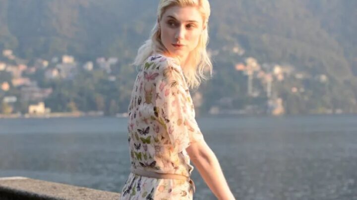 Elizabeth Debicki Biography: Height, Age, Net Worth, Movies, Boyfriend, Instagram, Husband, Partner, Parents, Guardians of The Galaxy, Wikipedia