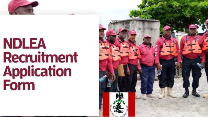 NDLEA Recruitment: 15 Key Requirements For Eligibility
