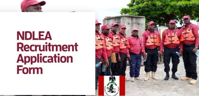 NDLEA Recruitment 15 Key Requirements For Eligibility