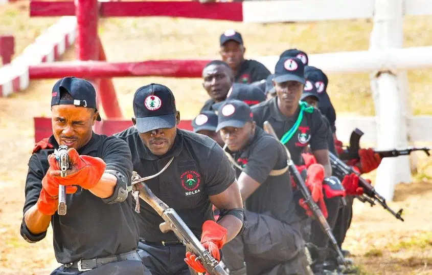 NDLEA Recruitment: 15 Key Requirements For Eligibility