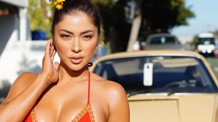 Arianny Celeste Biography: Net Worth, Salary, Boyfriend, Age, Partner, Relationships, Twitter, Instagram, Baby Father