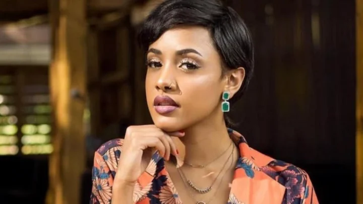 Tanasha Donna Biography: Songs, Boyfriend, Net Worth, Age, Wikipedia, Child, Photos, Sister, Husband, Instagram, News, Omah Lay, Diamond