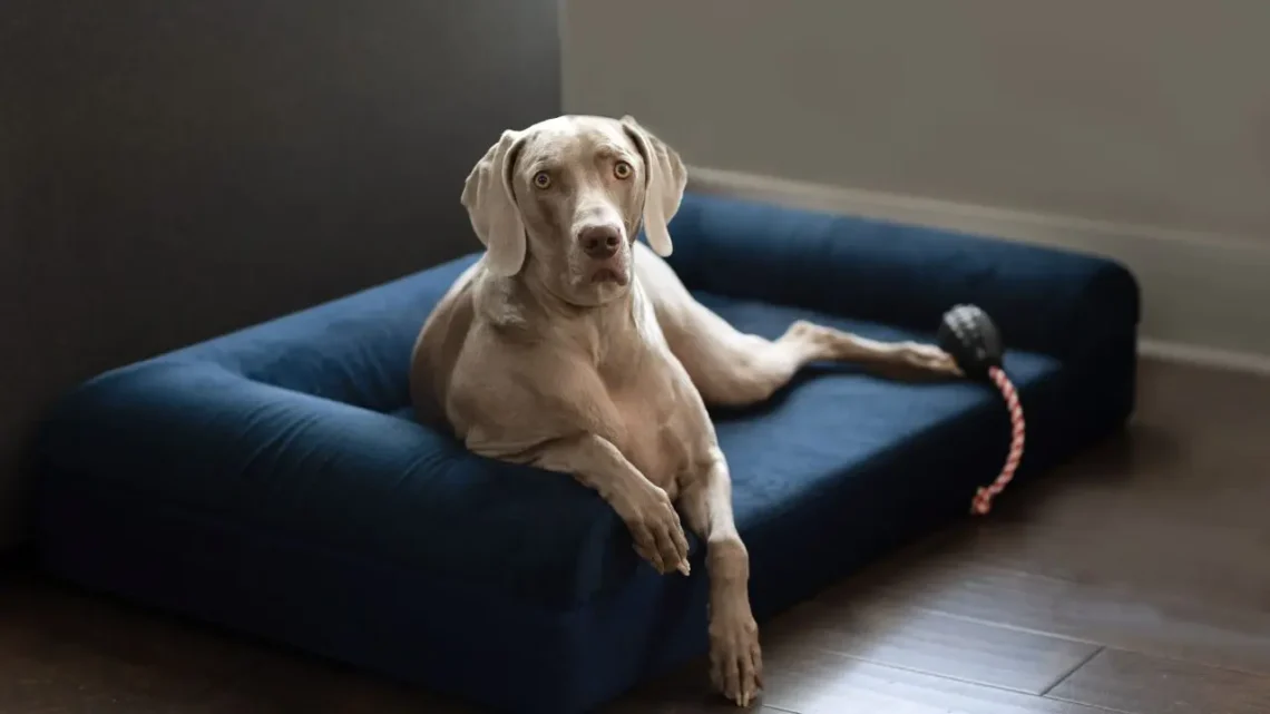 Five Unusual Ways That Celebrities Spend Their Money