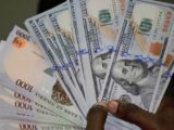 Dollar to Naira Plus Black Markey Rate Today
