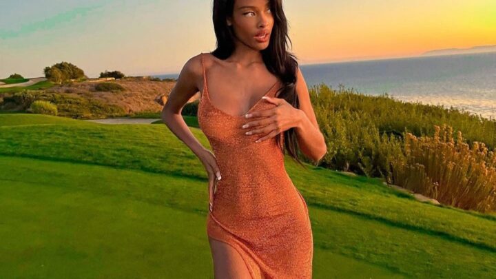 Vinetria Biography: Age, Height, Ethnicity, Net Worth, Parents, Boyfriend, Birthday, Twitter, Relationship with Travis Scott & Kanye West