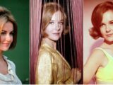 Shelley Fabares Bio, Songs, Age, Children, Net Worth, Husband, Hair, Photos, Height, Still Alive