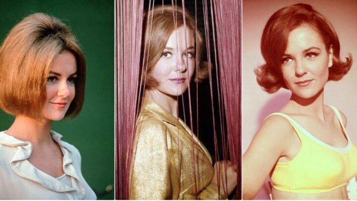 Shelley Fabares Biography: Songs, Age, Children, Net Worth, Husband, Hair, Photos, Height, Still Alive?